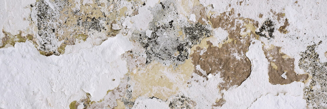 Image by Andrew Buchananan - paint flaking off a wall